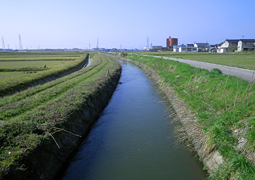 牛ヶ首用水路 八町付近